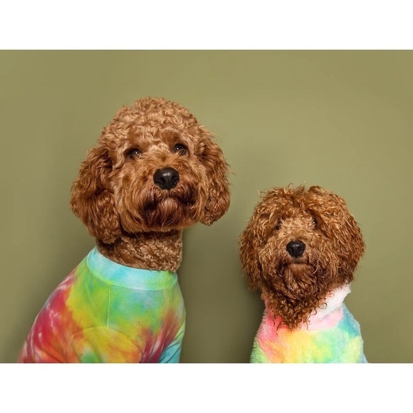 LoveThyBeast Brand 𝅺Tie-Dye Multicolor Dog Sweatshirt W/Short Sleeves - Picture 1 of 9